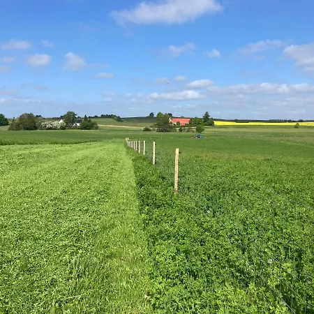 Apartman Vinkelgaard Ringsted