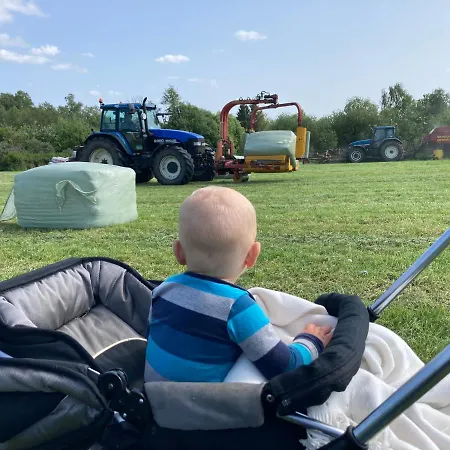 Vinkelgaard Apartament Ringsted