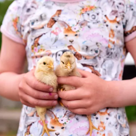 Apartment Vinkelgaard *