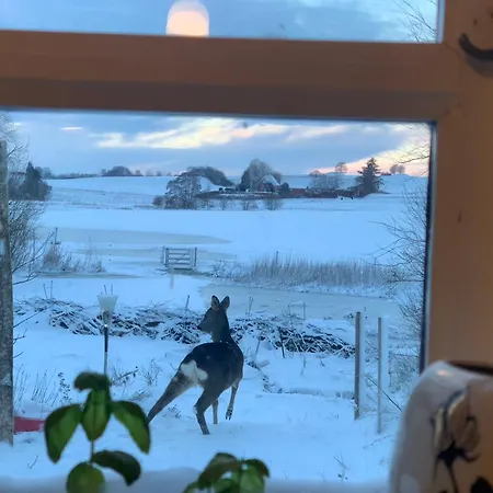 Vinkelgaard Ringsted