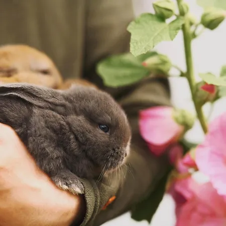 Apartment Vinkelgaard