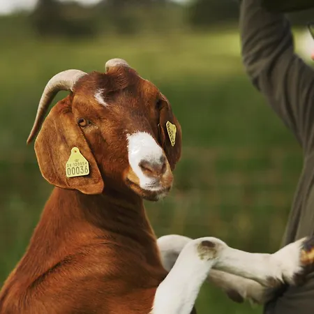 Apartament Vinkelgaard