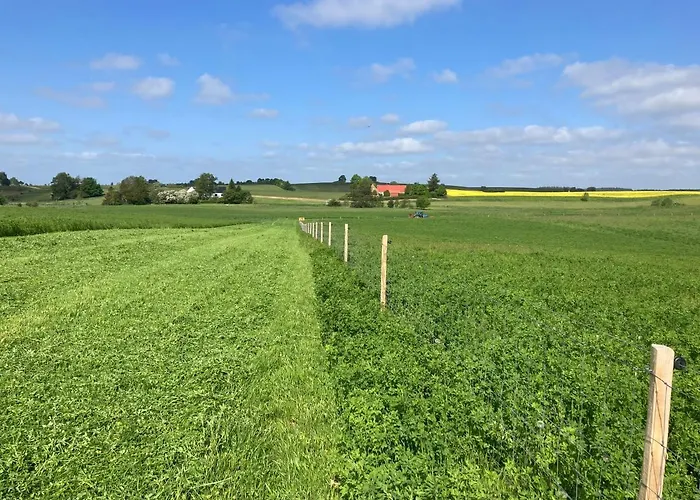 Lejlighed Vinkelgaard Ringsted